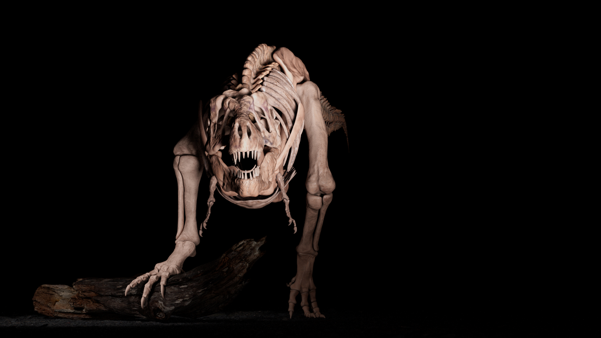 Tyrannosaurus rex skeleton, front view with a wooden trunk