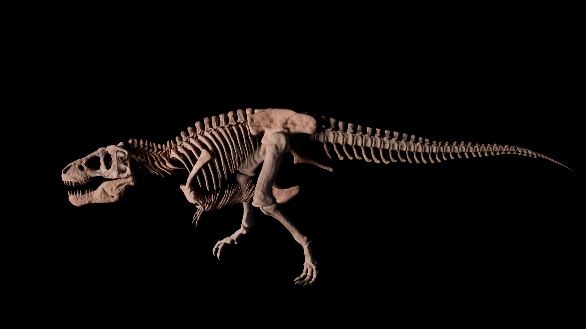 Tyrannosaurus rex